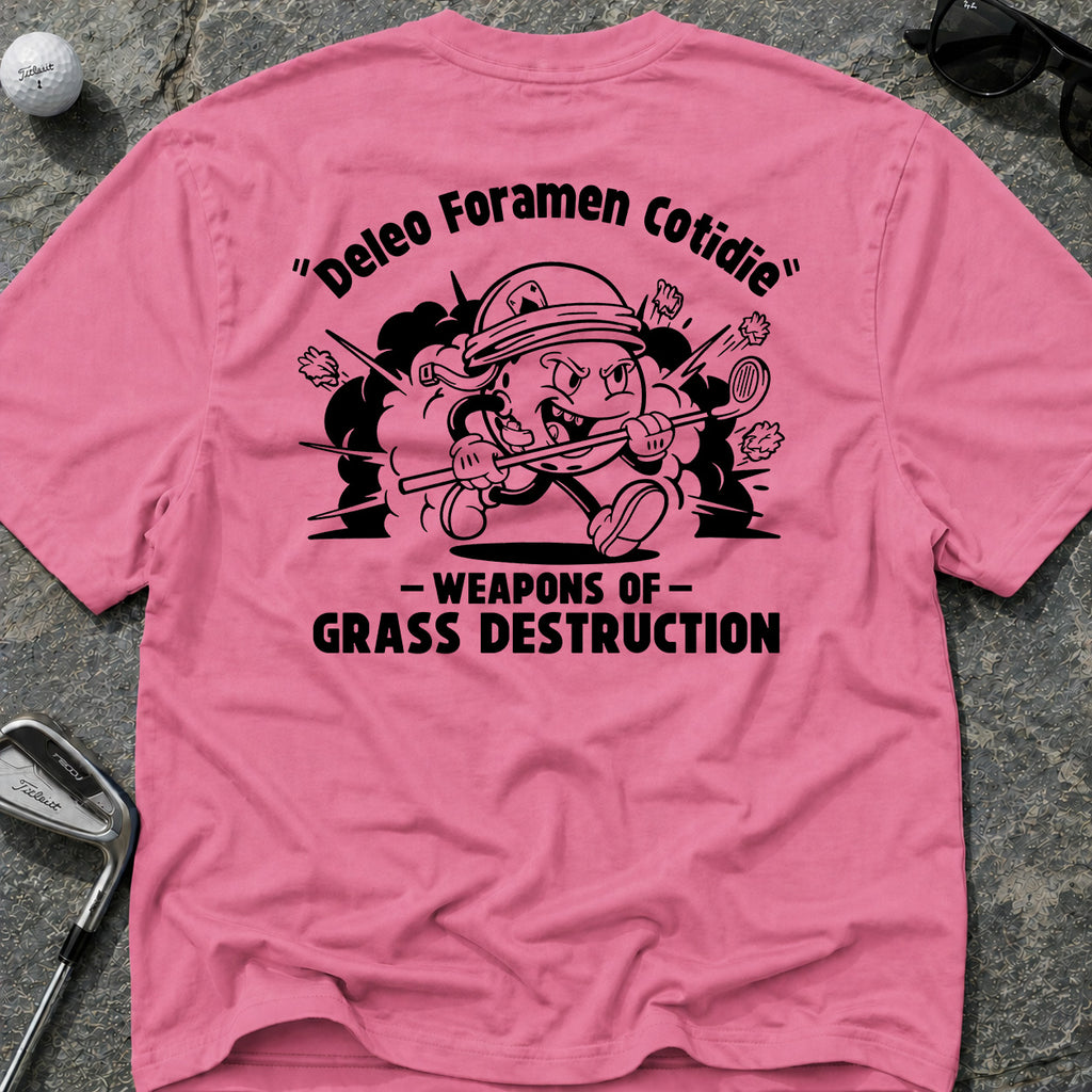 DESTROY HOLES DAILY" Golf T-Shirt