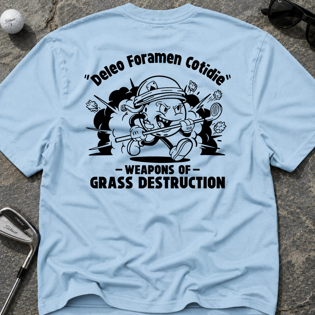 DESTROY HOLES DAILY" Golf T-Shirt